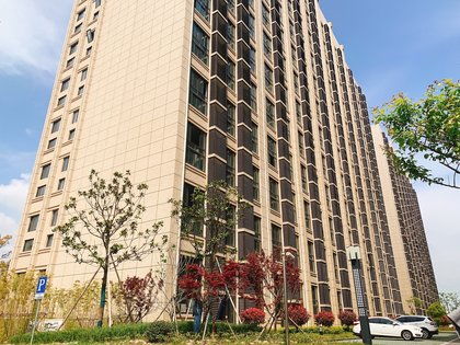 濱海之星優(yōu)點 不足,濱海之星怎么樣,濱海之星周邊房產中介經紀人評價 上海安居客