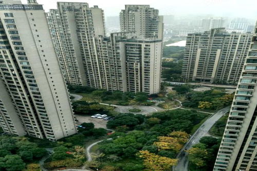 上海灘大寧城 公寓住宅 優(yōu)點 不足,上海灘大寧城 公寓住宅 怎么樣,上海灘大寧城 公寓住宅 周邊房產中介經紀人評價