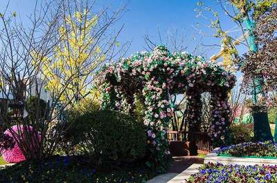 《中國(guó)新歌聲》青浦賽區(qū)4月8日即將震撼開唱!-上海房訊-買房大師