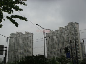 光明城市 上海光明城市配套實景圖,樣板間,效果圖,戶型圖 上海網易房產