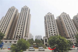 東莞日報多媒體數字報刊平臺_東莞時間網