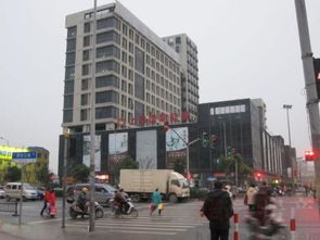 上海金鼎香樟苑：配套實景、樣板間與戶型全解析